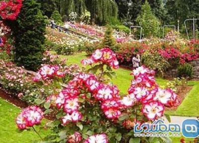 باغ رز یکی از جاذبه های گردشگری هندوستان است