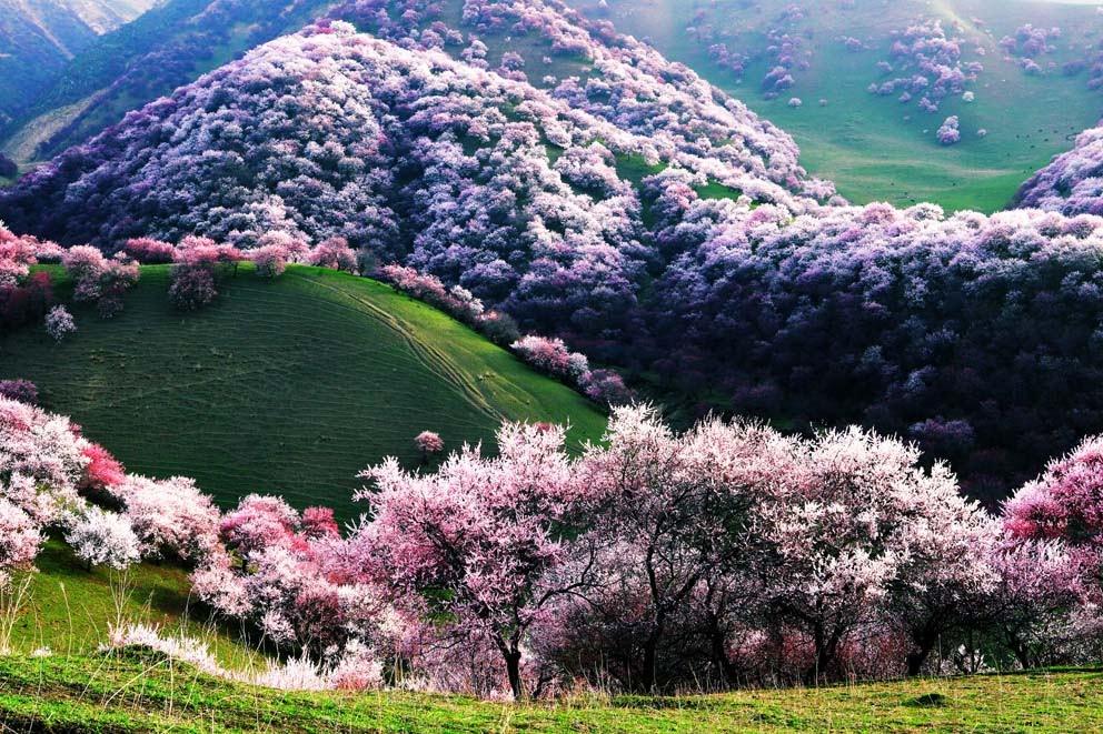دره ییلی در چین دره ییلی در کشور چین